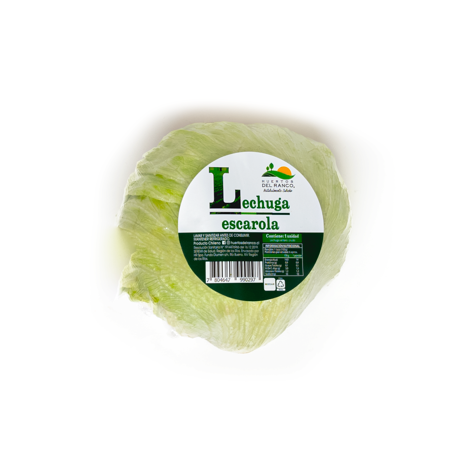Lechuga Escarola Huertos del Ranco